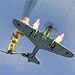   SkyFan